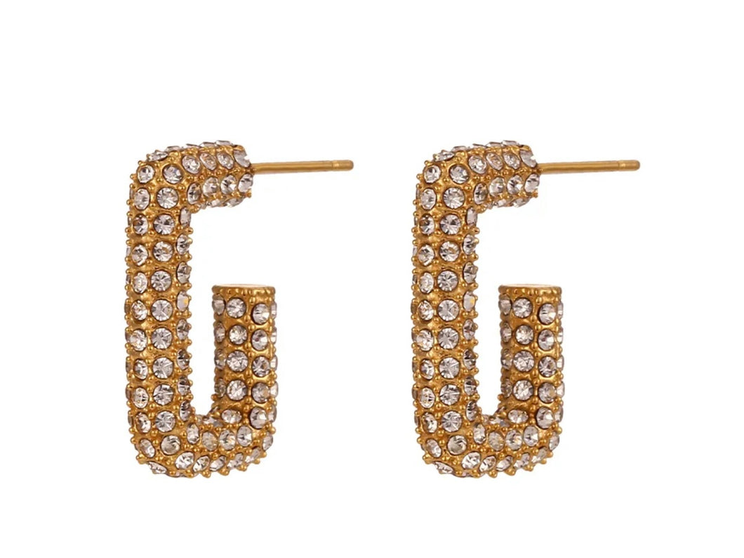 Hillary Earrings - Clear